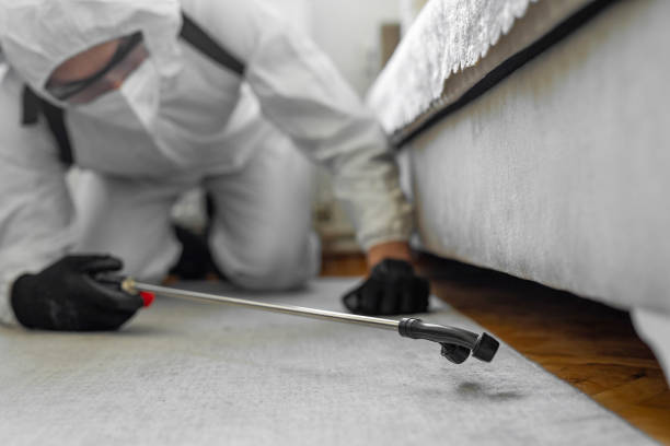 Professional Bed Bug Control technician working in Raymond, IL