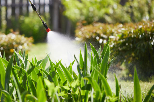 24/7 Emergency Bed Bug Control experts in Raymond, IL